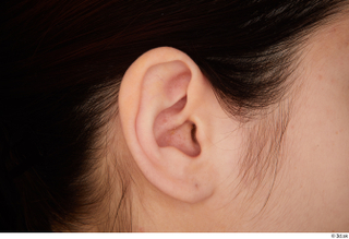 Lady Dee ear 0001.jpg